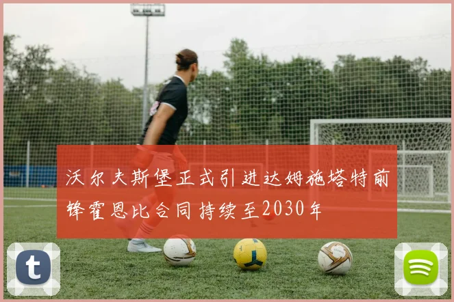 沃尔夫斯堡正式引进达姆施塔特前锋霍恩比合同持续至2030年