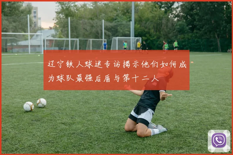 辽宁铁人球迷专访揭示他们如何成为球队最强后盾与第十二人